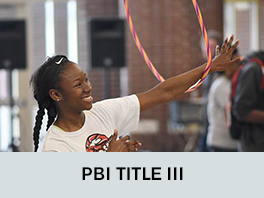 PBI TITLE 3