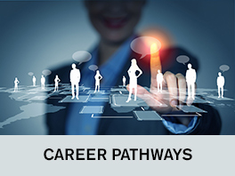 career pathways